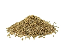 Olive shell